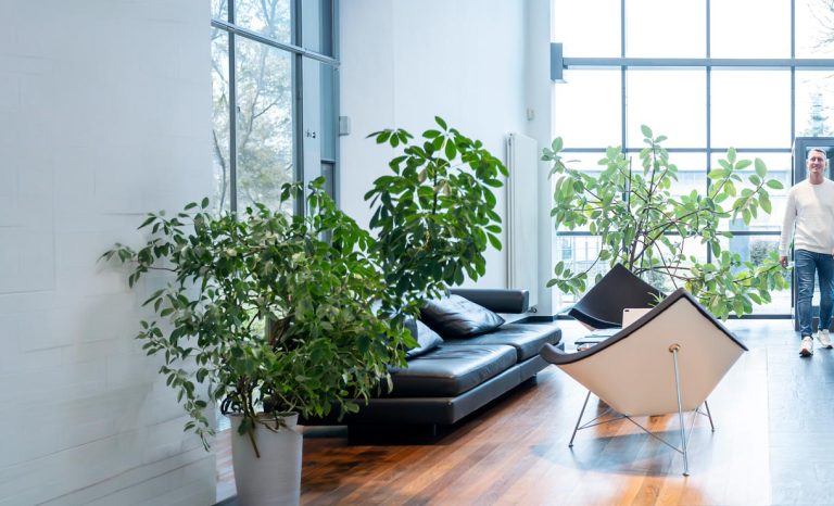 SYSTEMFAKTOR_11_02_2025-338-1_lang_webheader